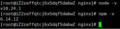 node-version